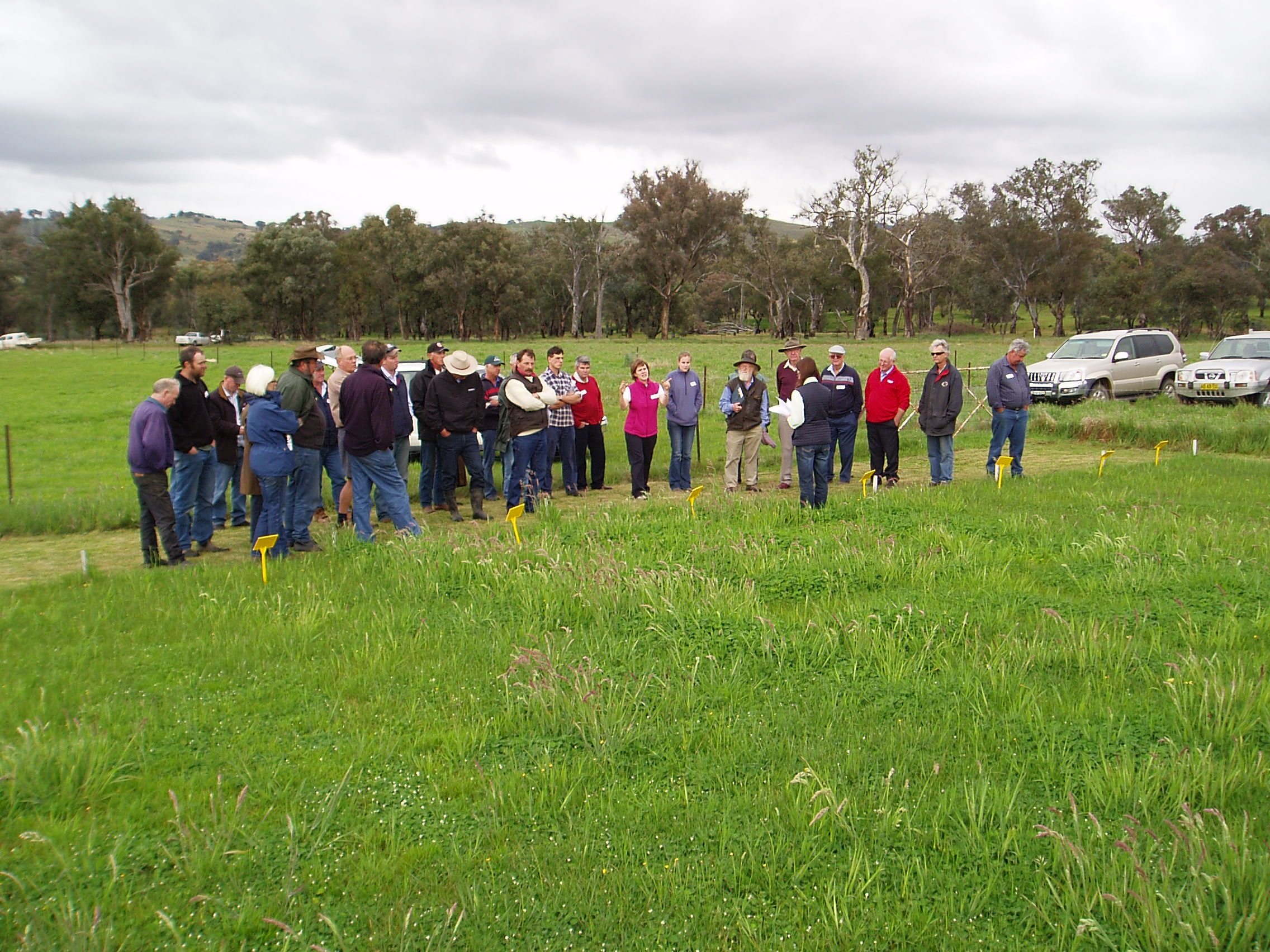 Alternative fertilizers field research project